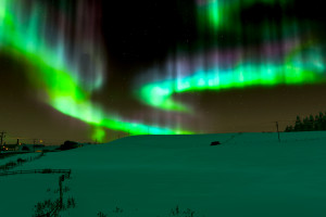 大数据时代,F1电竞的“隐形翅膀”是如何飞翔的