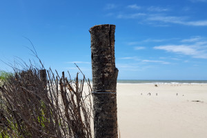 倾家荡产警示录，2026世界杯投注理性为上！