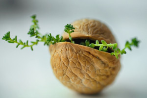 谁能称霸中东电竞赛事盘点，最强王者即将诞生！