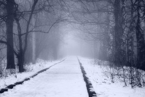 F1电竞的“智慧之眼”：数据分析如何洞察一切